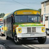 Transporte Palo Negro La Morita 2 104