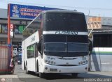 Expresos Flamingo 0071