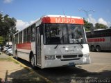 Uso Oficial  MPPD - 01, por Alfredo Montes de Oca