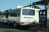 A.C. Transporte Campesino 32