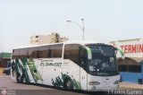 Expresos Flamingo 57 Irizar Century 390 Volvo B10R