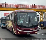 Empresa de Transporte Per Bus S.A. 741