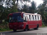 Sin identificacin o Desconocido 971 CAndinas - Carroceras Andinas Novus Iveco CC170E22