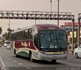 Empresa de Transporte Per Bus S.A. 661 Neobus New Road N10 340 Volvo B380R