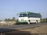 Transporte Virgen del Carmen 06