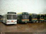 Maquetas y Miniaturas 988, por Edgardo Gonzlez