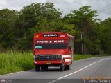A.C. Conductores Unidos de Mamporal 19 Wayne Cnvncional Corto Trompita03 Ford B-350