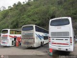 Garajes Paradas y Terminales Tariba
