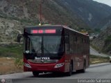 Bus Viga 666