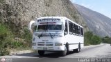 Colectivo Los Andes (Mrida - El Vigia) 38