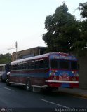 Transporte Colectivo Palo Negro