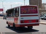 ZU - A.C. Uniceis 50