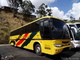Expresos San Fernando 1002