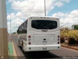 Caribe Express C.A. 0024 por M�guel Pino