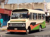 ZU - Colectivo Pomona 36