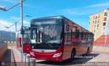 Trolmerida - Tromerca M22-04, por Andrs Figuera