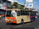 Transporte 1ero de Mayo 004