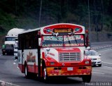 Transporte Palo Negro La Morita 2 087