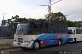 Transporte Virgen del Carmen 65