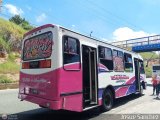 DC - Unin Conductores de Antimano 391