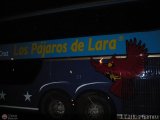 Los Pjaros de Lara 003