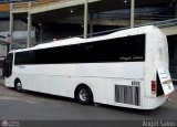 Transporte Los Siervos de Dios 0197 por �ngel Sal�n
