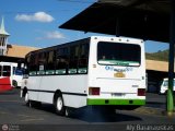 A.C. de Trans. Vencedores de Montalban 21, por Aly Baranauskas