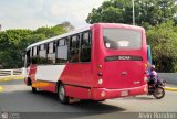A.C. Transporte Independencia 015, por Alvin Rondn