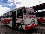L�nea Tocar S.C. 42