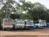 En Chiveras Abandonados Recuperacin  Marcopolo Allegro GV Volvo B58