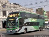 Trans Dora (Per) 969