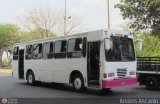 CA - Asociacin Coop. El Trigal R.L. 12 Fanabus KingWay Mercedes-Benz OF-1418