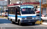 AN - Transintron 04 998, por #TrabajoEnEquipo