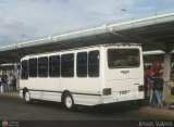 Particular o Transporte de Personal 122