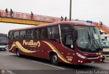 Empresa de Transporte Per Bus S.A. 418, por Leonardo Saturno