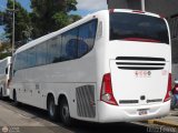 Transporte Clavellino 229