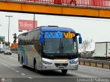 E.T. Maleo VIP (Per) 956