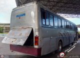 Expresos La Guayanesa 321