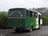 MI - Unin de Transportistas San Pedro A.C. 64 CAndinas - Carroceras Andinas Picahielo II Ford B-350