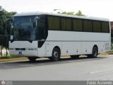 Academia Militar 04 Man Lions Star Man RH403