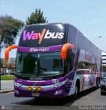Way Bus (Per) 103