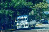 L�nea Cultura 51 por Pablo Acevedo