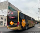 Cetur S.R.L. 961