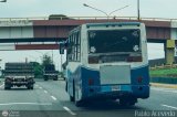 S.C. Valle de Qu�bor 08