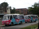TransMiranda 036 Encava Nuevo E-NT900AR Encava Isuzu Serie 900