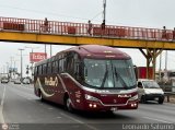 E.T. Per� Bus S.A. 446