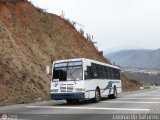 Colectivo Los Andes (Mrida - El Vigia) 16