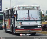 Cooperativa Canaima 07, por Daniel Fern�ndez