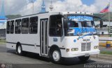 Transporte Virgen del Carmen 41