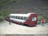 En Chiveras Abandonados Recuperacin 15 Leyland National Mark I Leyland 510